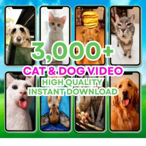 100K+ Viral Reels Bundle All-in-One AI Animated Shorts & Faceless Social Media Content TikTok, Instagram Reels, YouTube Shorts Library